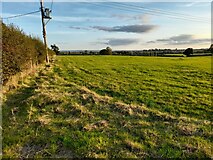SP6907 : Field by Thame Road by David Howard