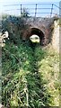 Footpath towards North Otterington through bridge of dismantled railway