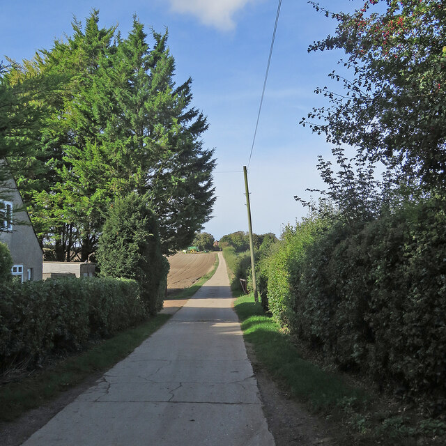 The road to Rectory Farm