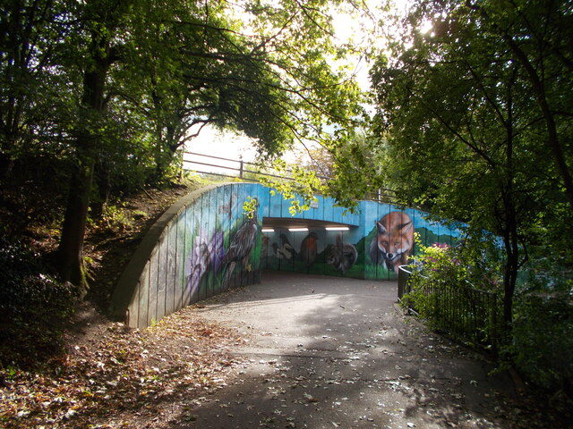 Murals on the Werrington underpass at Cuckoo's Hollow