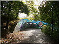 TF1703 : Murals on the Werrington underpass at Cuckoo's Hollow by Paul Bryan