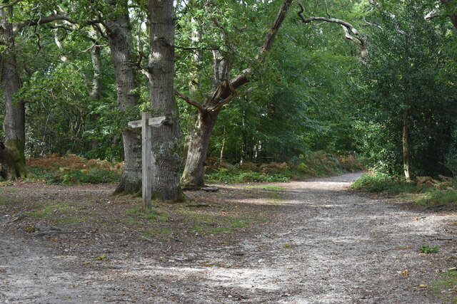 Bridleway junction near Roydon Manor © David Martin :: Geograph Britain ...