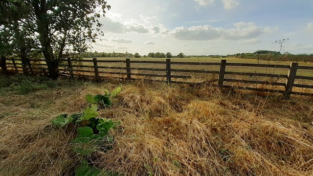 Fence and field on SW side of A167