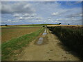 TF0815 : Farm track near Obthorpe by Jonathan Thacker
