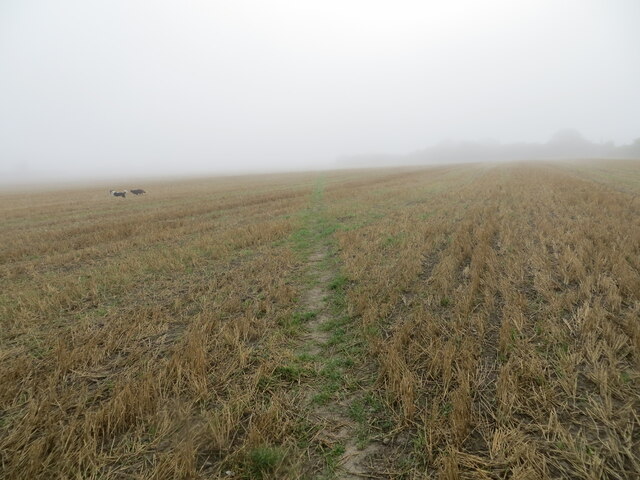 Footpath through a stubble field near Limlow Hill