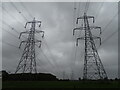 Electricity pylons