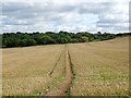 SK3320 : Footpath across a field of stubble by Ian Calderwood