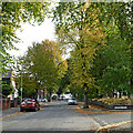 Claremont Road near Graiseley in Wolverhampton