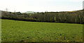 SX7663 : Field near Meadowside Farm by Derek Harper