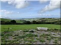 Bath with a view