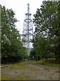 SU8962 : Bagshot Heath telecommunications tower by Robin Webster