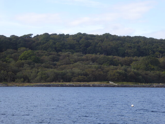 Wooded shore of Loch Sween