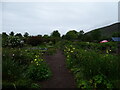 Applecross House walled garden