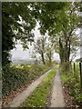 Farm track to Minffordd