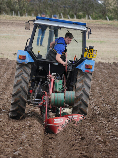Last minute adjustments on the final furrows