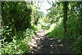 TL4240 : Icknield Way Path by N Chadwick