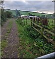 Track towards Nantygelli Farm, Llangwm