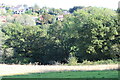 View across Swiss Valley, Felinfoel