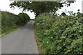 Footpath off Richdore Rd