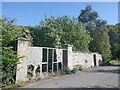 Overgrown site, Caroline Street