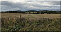 The Malvern Hills (Viewed from Berrow)