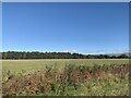 Looking towards High Moss