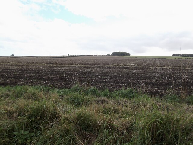 Fields on Paddock Hill