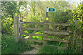 SX7762 : Path junction near Week by Derek Harper