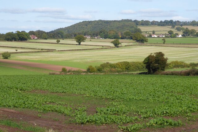 Farmland near Brockhampton