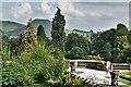 SK1350 : Ilam Park: View from the house by Michael Garlick