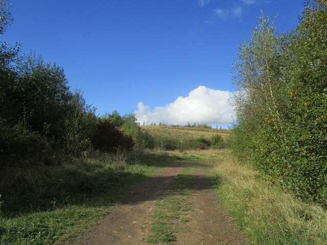 Track and landscaped spoil heap, Pleasley Pit Country Park