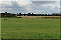 View over the field towards the airfield