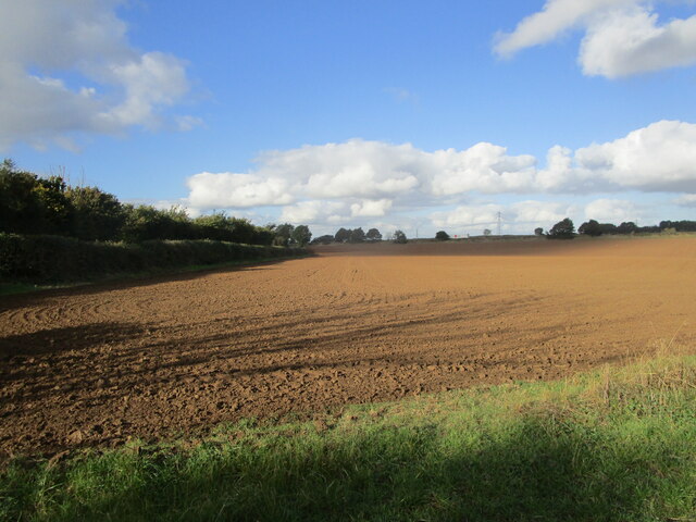 Prepared field near New Houghton