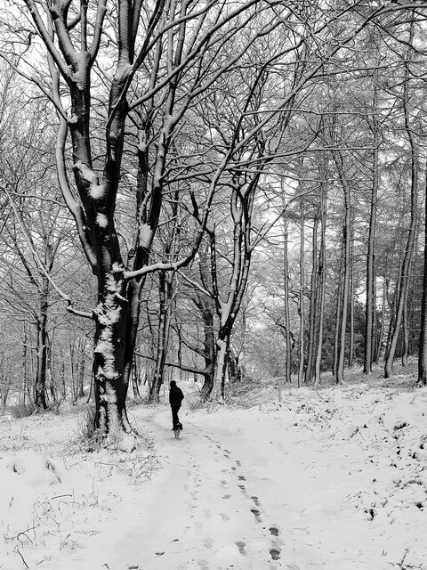 Winter walk at Broomy Hill