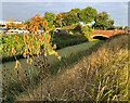 Beverley and Barmston Drain, Hull