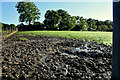 A muddy field, Seskinore