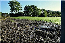 H4963 : A muddy field, Seskinore by Kenneth  Allen