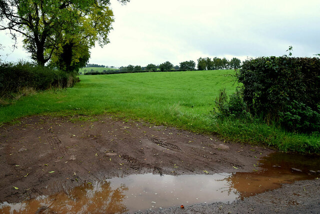 Muddy entrance to field, Baronagh