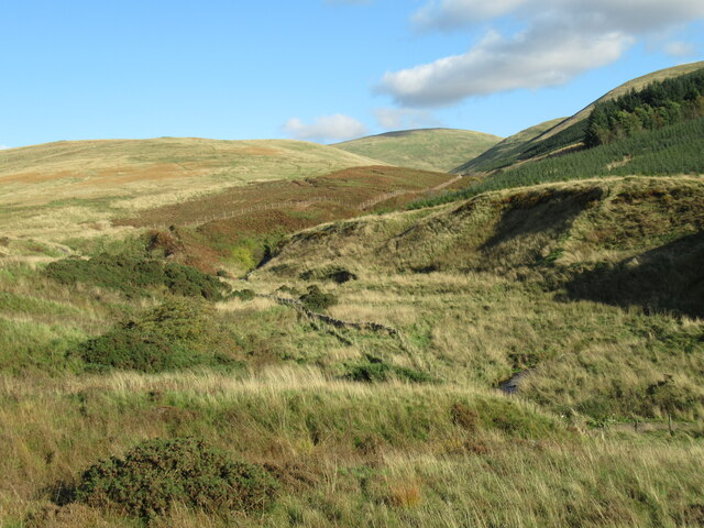 Rough moorland by the Wharry Burn