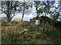 The ruins of a building in the walls surrounding Hawarden Park