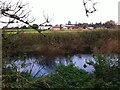 Looking across the River Avon towards New Farm, Blackdown