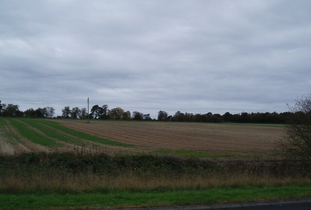 Field alongside the M90 near Broxden