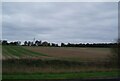 Field alongside the M90 near Broxden