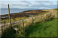 NH9185 : Coastal Path near Tarbat Ness, Cromartyshire by Andrew Tryon