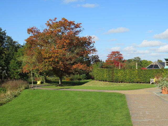 Autumn colour at Harlow Carr Gardens, Harrogate