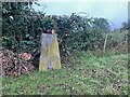 The Friars Trig Point Flush Bracket S6376