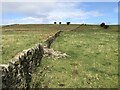 Langsett, Slope of Gilbert Hill