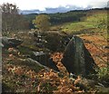 Stell Crags