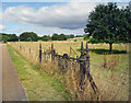 Disused Gates, Melford Hall