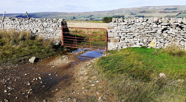 Gate in wall across track on Thornton Rust Moor